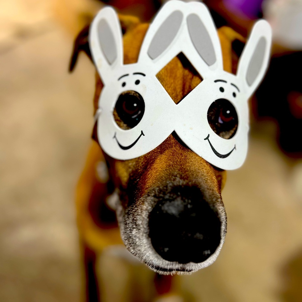 Meet your Posher, Cortney